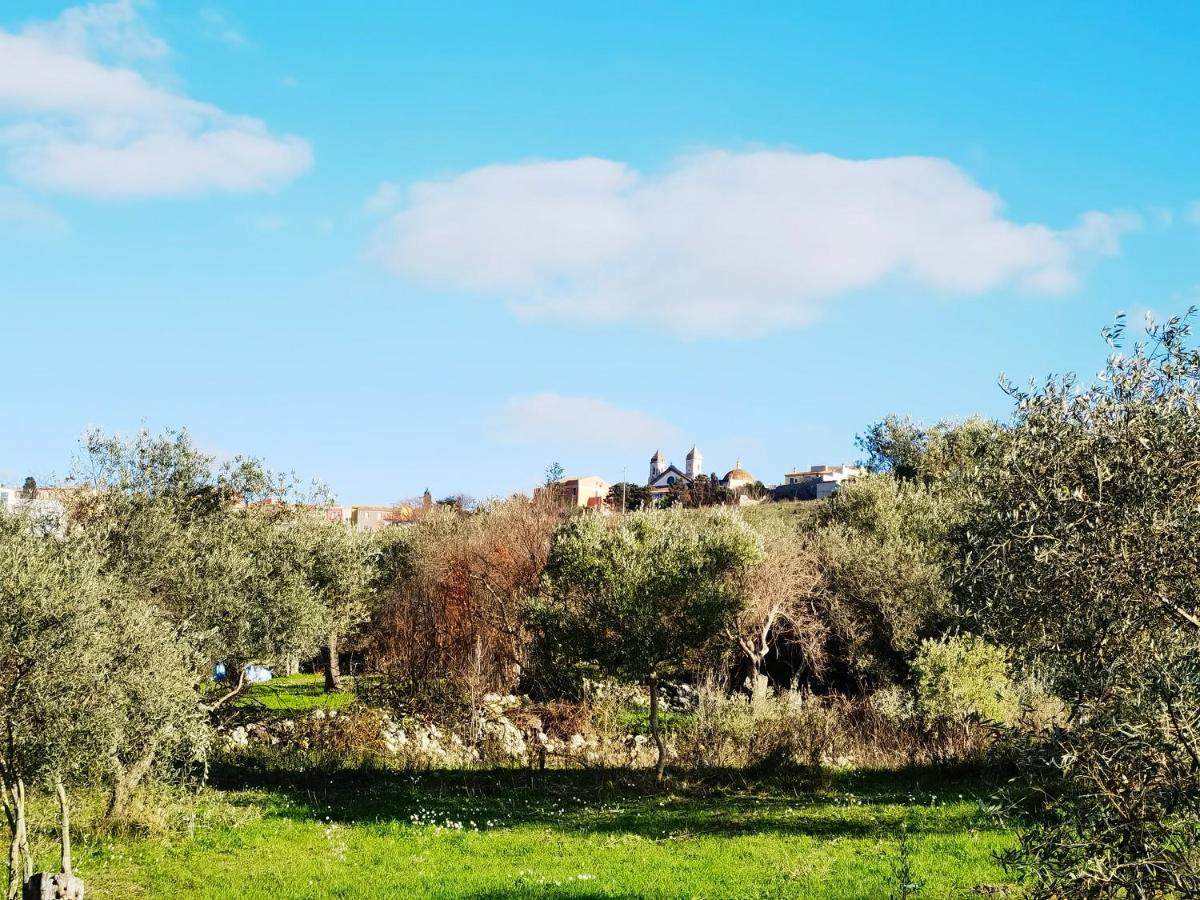 La Corte Degli Ulivi - Albergo Rurale Tresnuraghes Luaran gambar